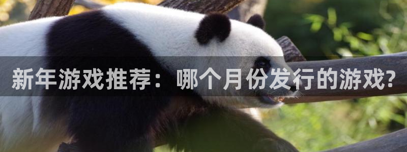 火狐电竞app官网品牌