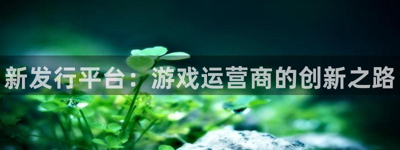 火狐电竞app官网是什么：新发行平台：游戏运营商的创新之路