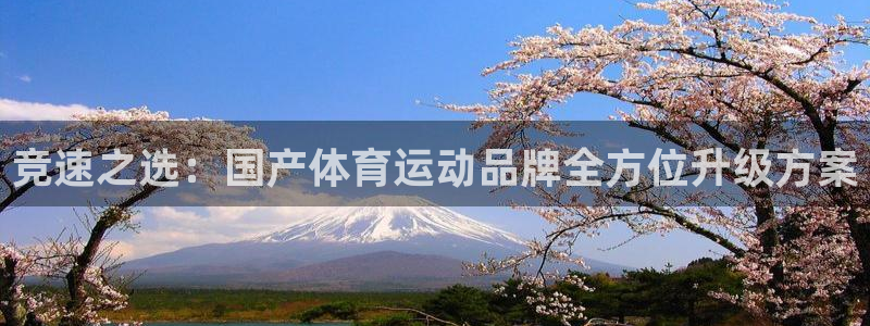 678体育官网下载