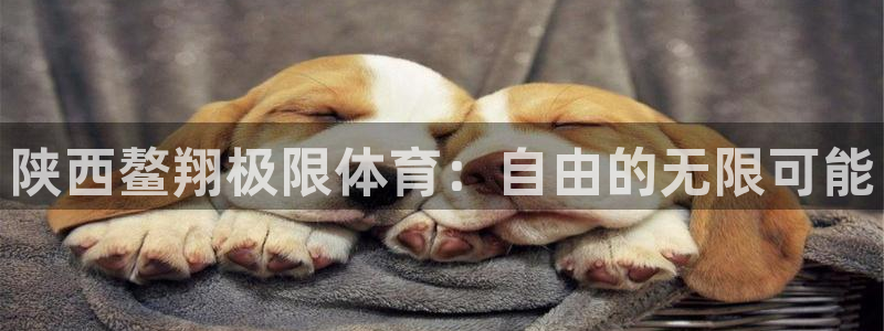 678体育官网地址
