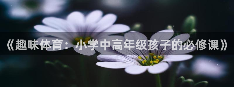 皇冠678体育