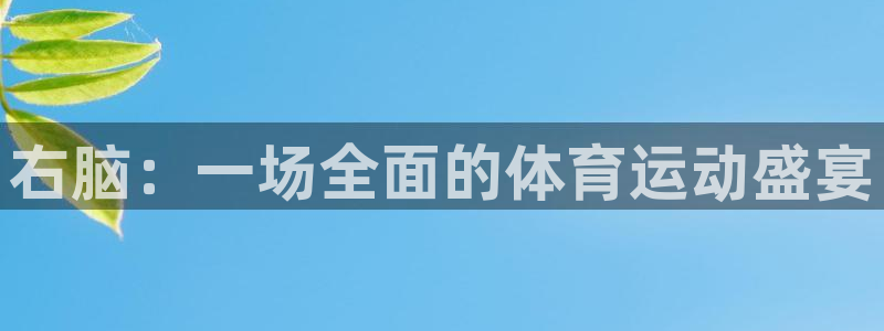678体育