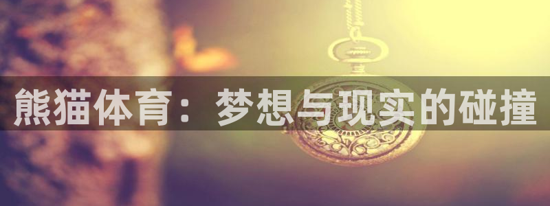 678体育app