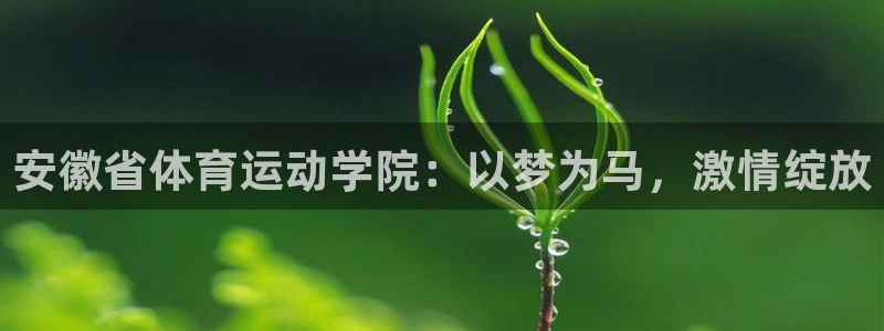 678体育官网下载