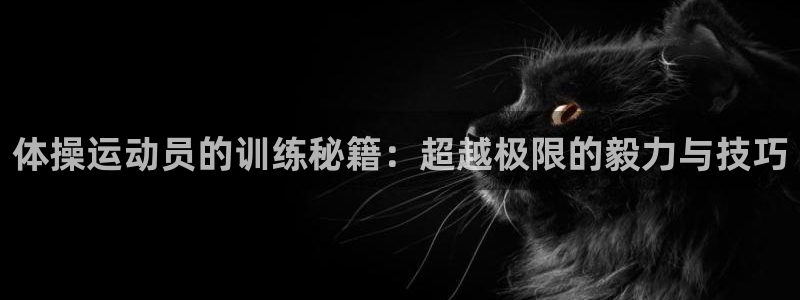 678体育官网地址