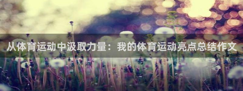 678体育app